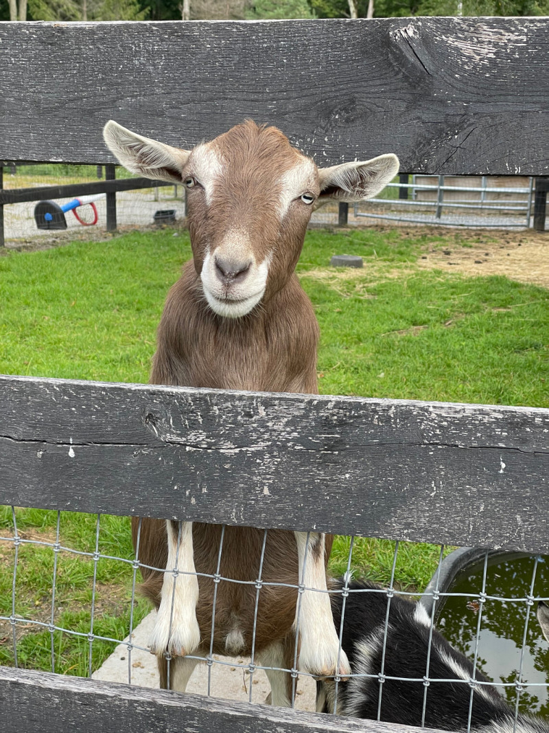 Fresh Farm Fare & Family Fun Retreat