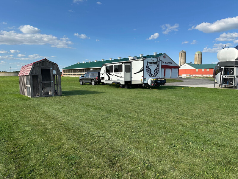 Robotic Dairy Delights: Farm-Fresh Cheese & Yogurt