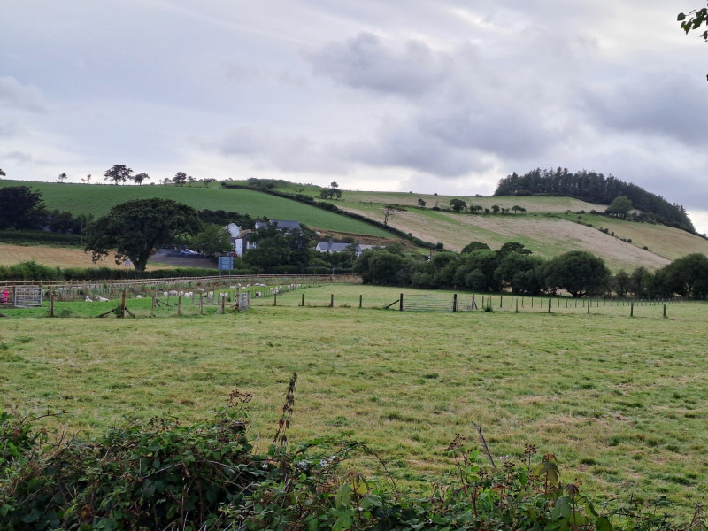 Family Fun & Fidos Favourite Pub Grub