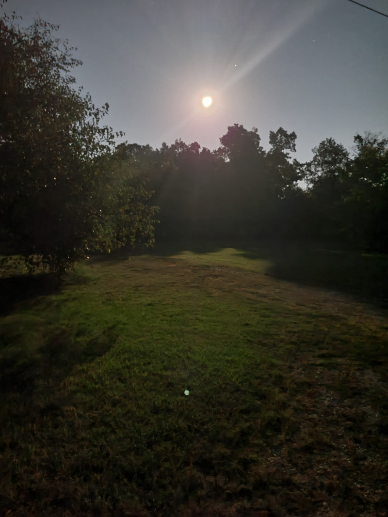 Peaceful Farm Haven: Organic Bliss, Horses & Pups