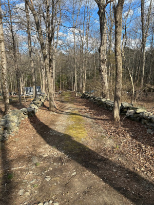 Secluded Countryside Camping Retreat photo 3