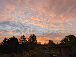 Bob N Trout Farm - Photo 2