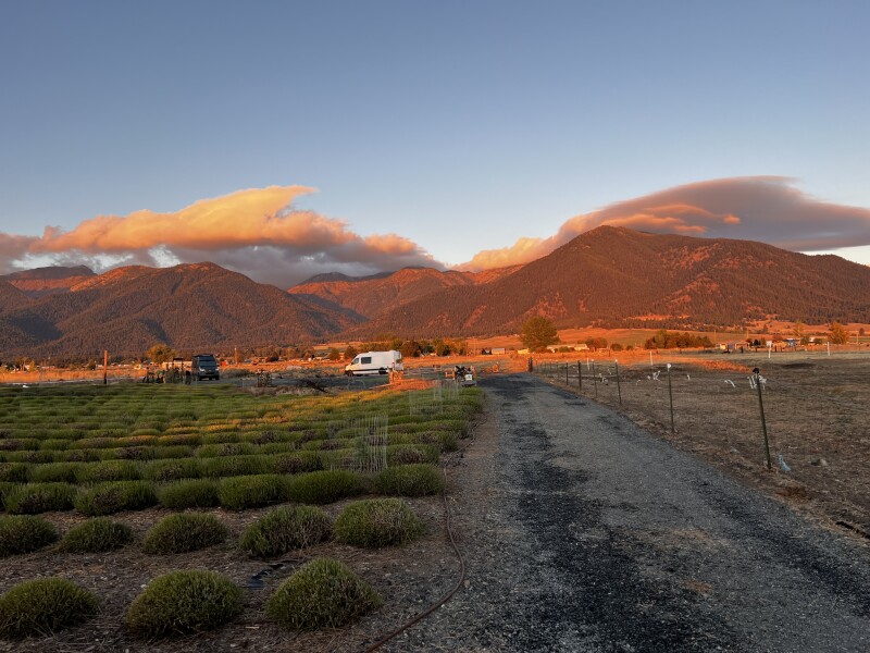 Organic Lavender Farm Retreat