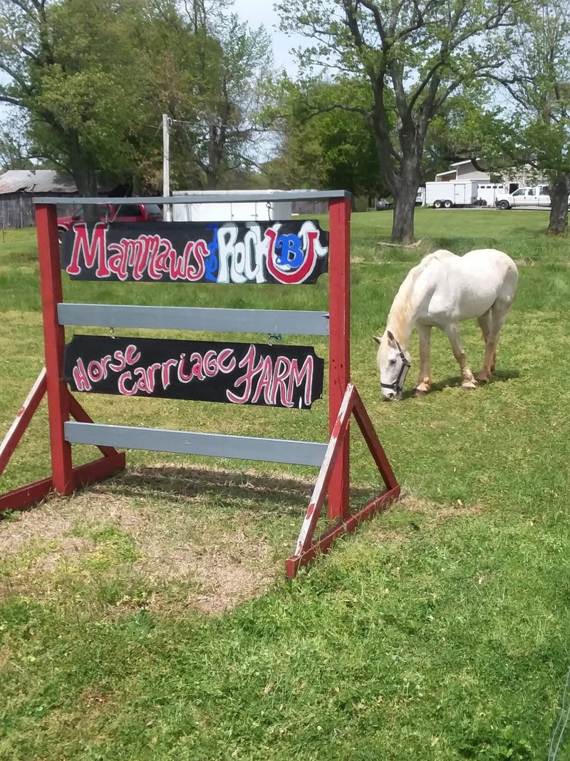 Farewell Farm Stay: Pastures & Carriages Await!