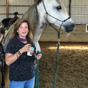 Peaceful Equestrian Farm Retreat photo 2