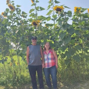 Shipley Farm photo 2