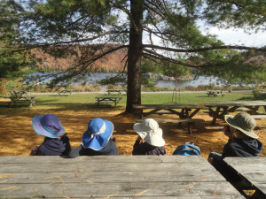 Family Forest & Pond RV Retreat photo 2