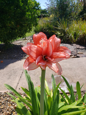 Scenic Garden Retreat Farm - Photo 2