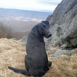 Boondocking host near Abingdon, VA