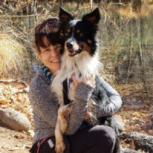Peaceful Dog-Friendly RV Retreat photo 2