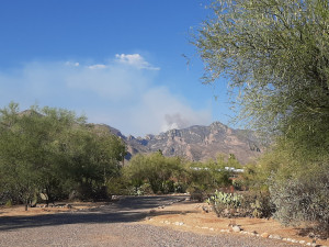 Desert Garden Neighborhood Retreat - Photo 2