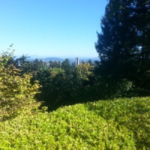 Gales Creek - Photo 2