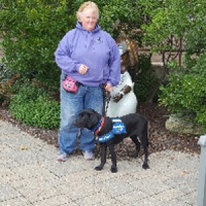 Dog-Friendly RV Camping Retreat
