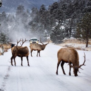 Boondocking host near Glen Haven, CO photo 2