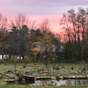 Pondside Farm Retreat with Woodland Trails - Photo 2