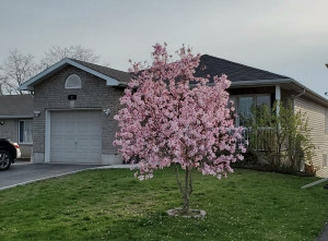 Historic Country Retreat - Photo 2