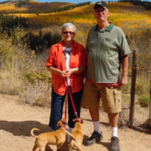 Valley Street RV Retreat - Photo 2