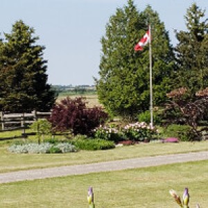 Secluded Countryside Farm Retreat photo 2
