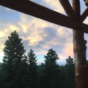 Alpine Forest Retreat photo 2