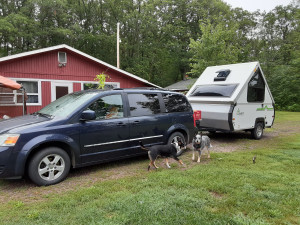 Pet-Friendly Boondocking Clearing - Photo 2