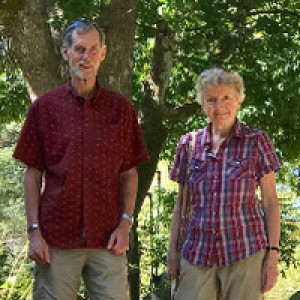 Forest Garden RV Retreat - Photo 2