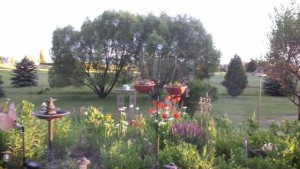 Scenic Forest Retreat - Photo 2