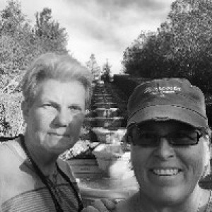 North Shore Wooded Retreat - Photo 2