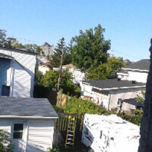 Shaded Urban Retreat photo 2