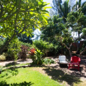 Tranquil Tropical Fruit Garden Retreat - Photo 2