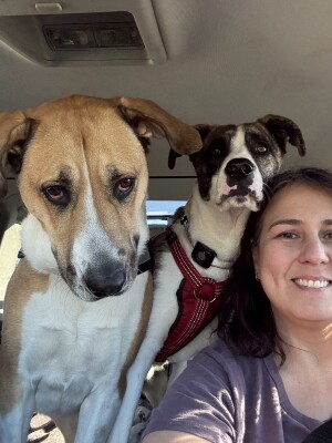 Quiet Residential RV Retreat - Photo 2