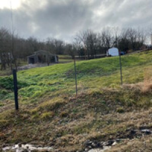 Quiet Horse Country Micro Farm photo 2