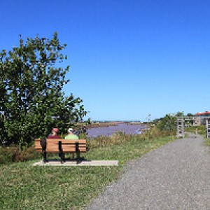 Cozy Van-Friendly Stopover Near Trails photo 2