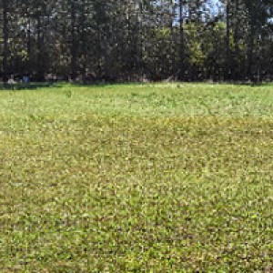 Secluded Solar-Friendly Country Retreat photo 2