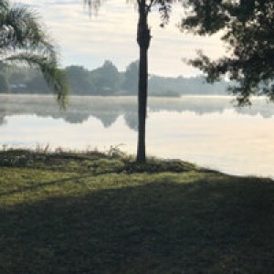Tranquil Lakeside RV Retreat photo 2