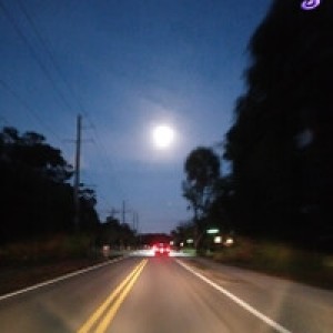Boondocking host near Lake Worth, FL photo 2