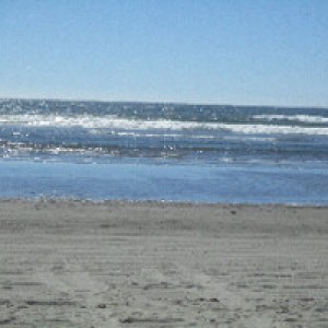 Pacific Coast Beachside Retreat - Photo 2