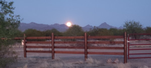 Boondocking host near Marana, AZ
