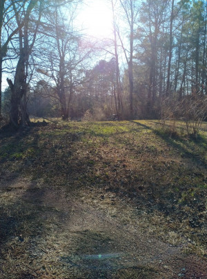 Scenic Country Homestead Farm photo 2