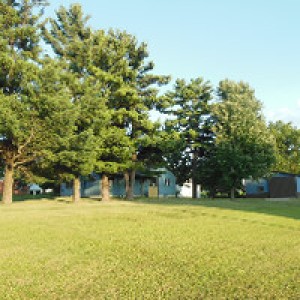 Serene Pine Grove RV Retreat - Photo 2