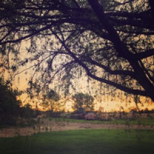 Hilltop Working Farm Retreat photo 2
