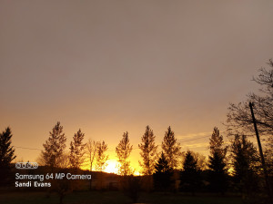 Alberta Rolling Hills Farm Retreat photo 2