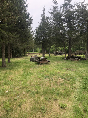 Secluded Lakeside Campsite Retreat photo 2