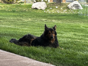 Scenic Mountain Riverfront Retreat - Photo 2