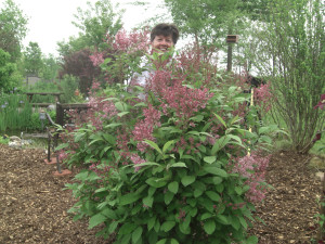 Bluffside Nature Retreat in Driftless Area photo 2