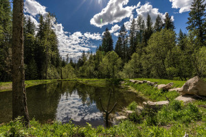Secluded Off-Grid Mountain Retreat - Photo 2