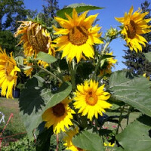 Boondocking host near Groton, NY photo 2