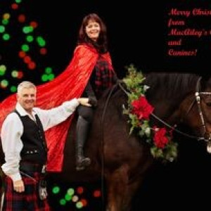 Serene Clydesdale Hobby Farm Retreat
