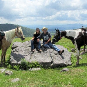 Scenic Mountain Farm Retreat photo 2