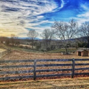 Scenic Countryside Horse Farm Retreat photo 2