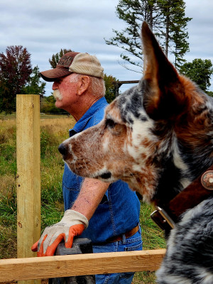 Ozark Gateway Horse Farm Retreat photo 2